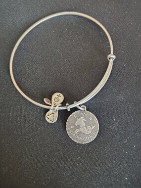 Alex and Ani Capricorn Silver Charm Bracelet Bangle Zodiac 🐐♑ #832